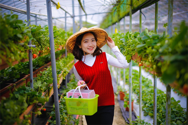 美联储降息释放哪些信号？美联储货币政策未来走向何方？